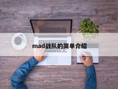 mad战队的简单介绍