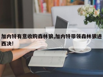 加内特有意收购森林狼,加内特带领森林狼进西决!