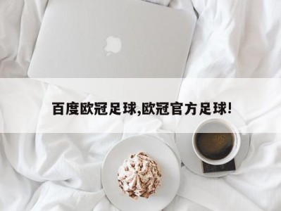 百度欧冠足球,欧冠官方足球!