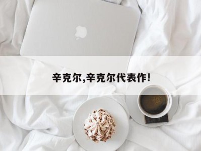 辛克尔,辛克尔代表作!