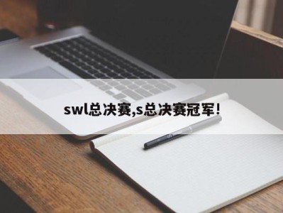 swl总决赛,s总决赛冠军!